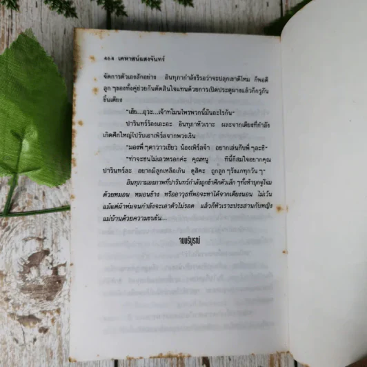 เคหาสน์แสงจันทร์ -  ไอริณ รูปที่ 10