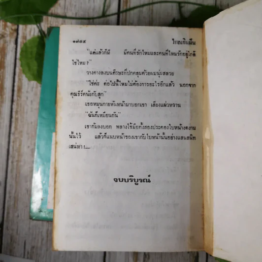 ไกลเกินฝัน 2 เล่มจบ - บุษยมาส รูปที่ 14