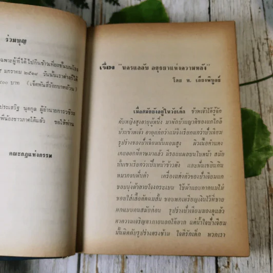 นครแลลับอยุธยาแห่งความหลังและอดีตที่ผ่าน - ท.เลียงพิบูลย์ รูปที่ 10
