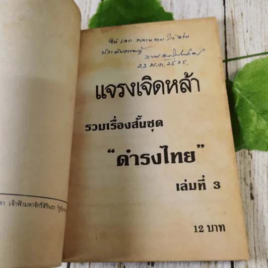 แจรงเจิดหล้า - วรรณกรรมสำหรับเยาวชน รูปที่ 7