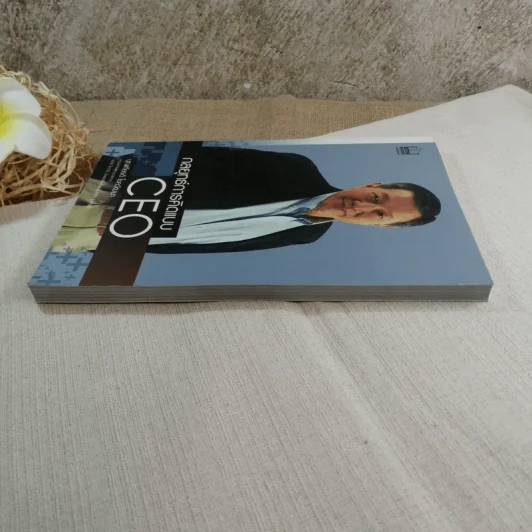 กลยุทธ์การคิดแบบ CEO - บุญเกียรติ โชควัฒนา รูปที่ 3