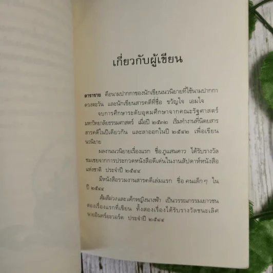 เด็กหญิงนางฟ้า - ดาราราย รูปที่ 13