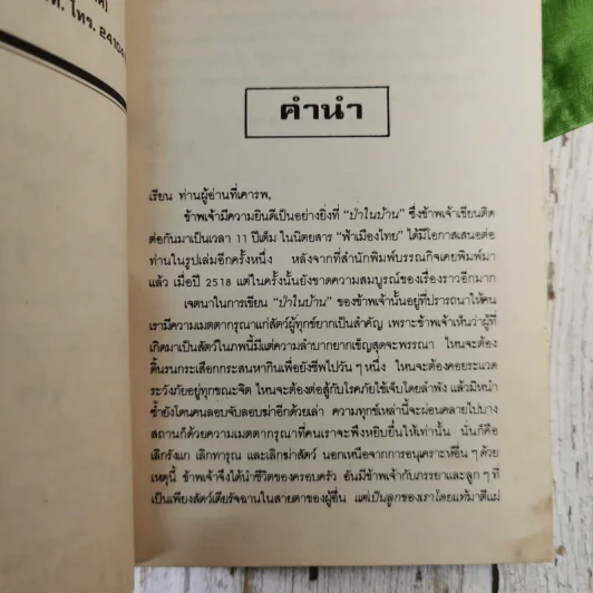 ป่าในบ้าน - ทองทิว สุวรรณทัต รูปที่ 8