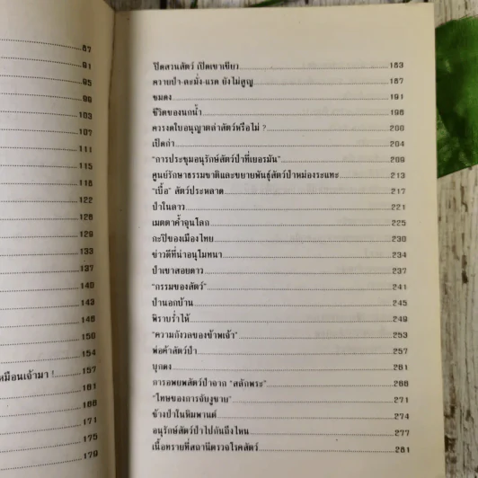 ป่าในบ้าน - ทองทิว สุวรรณทัต รูปที่ 12