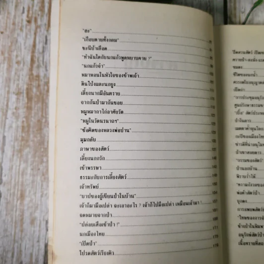 ป่าในบ้าน - ทองทิว สุวรรณทัต รูปที่ 11