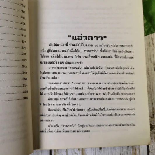 ป่าในบ้าน - ทองทิว สุวรรณทัต รูปที่ 14
