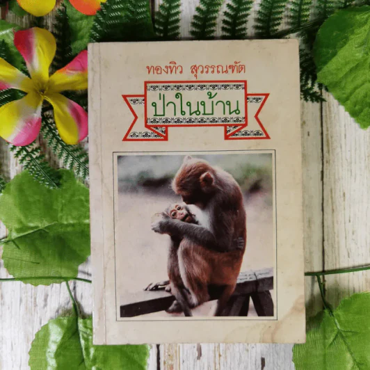 ป่าในบ้าน - ทองทิว สุวรรณทัต รูปที่ 1