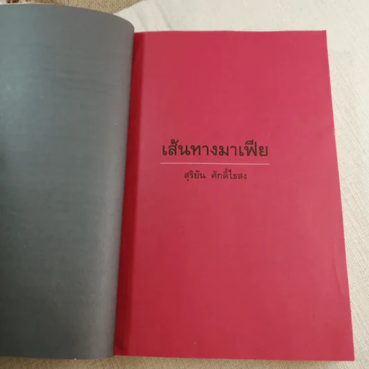 เส้นทางมาเฟีย - สุริยัน ศักดิ์ไธสง รูปที่ 9
