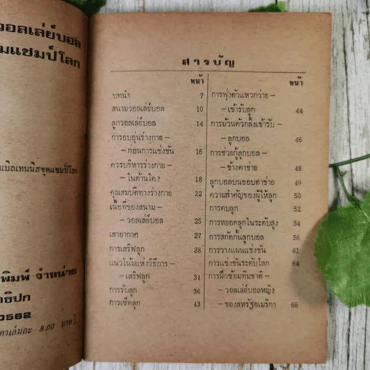 เทคนิคการเล่นวอลเลย์บอลทีมแชมป์โลก - อนามิส รูปที่ 7