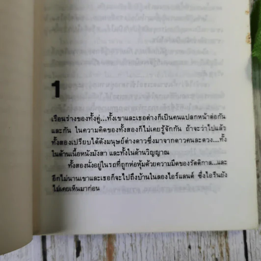เขา ถอดความโดย อลงกรณ์ (นวนิยายอีโรติก) รูปที่ 11