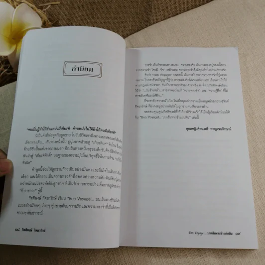 Bon Voyage บนเส้นทางข้าแผ่นดิน - กิตติพงษ์ กิตยารักษ์ รูปที่ 14