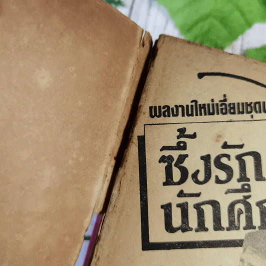 นิยายรักนักศึกษา 6 เล่ม รูปที่ 9