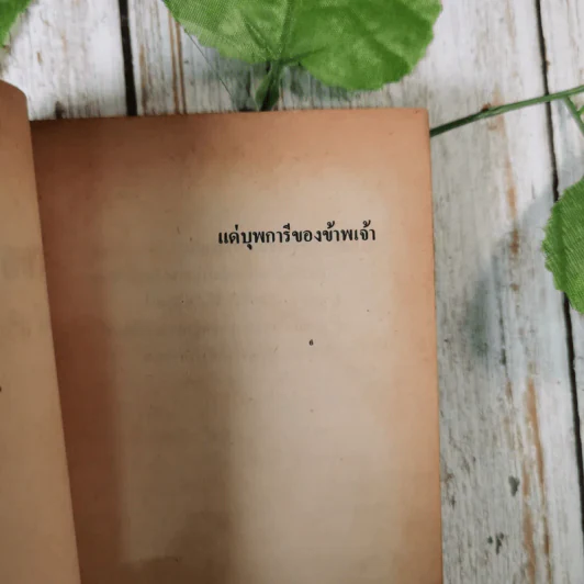 อาถรรพณ์อียิปต์ รวมเรื่องลี้ลับและไสยศาสตร์ของชาวอียิปต์โบราณ - สำเริง สัมพันธารักษ์ รูปที่ 8