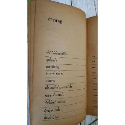 ทางไปสุขา - ไมตรี ลิมปิชาติ รูปที่ 10