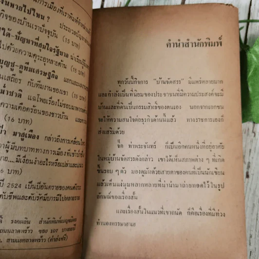 บ้านจัดสรร วิมานผ่อนส่ง - จี๊ต ท่าพระจันทร์ รูปที่ 10