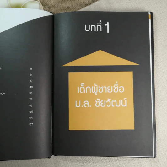 จอมยุทธ์การตลาด - ม.ล.ชัยวัฒน์ ชยางกูร รูปที่ 13