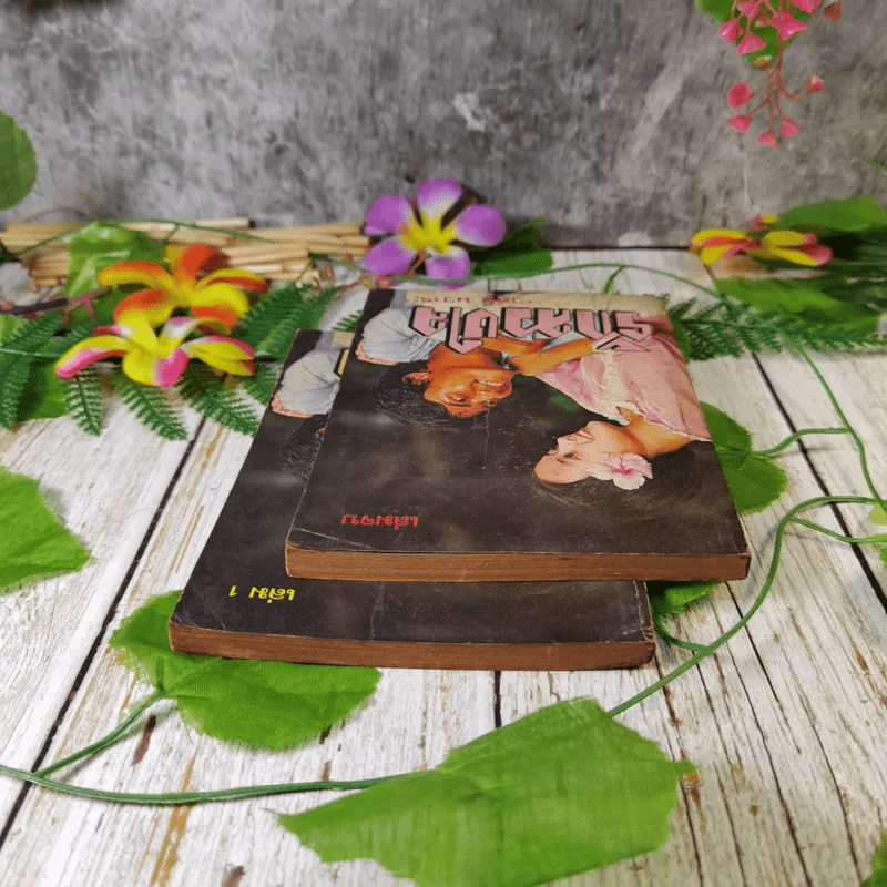 รักลวงใจ 2 เล่มจบ - วลัย นวาระ รูปที่ 5