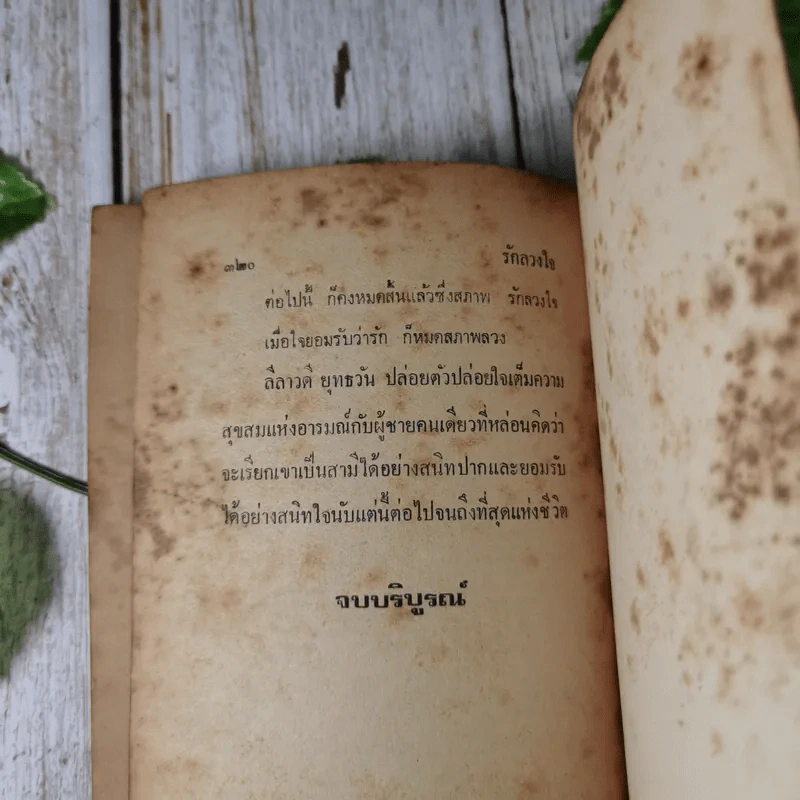 รักลวงใจ 2 เล่มจบ - วลัย นวาระ รูปที่ 14