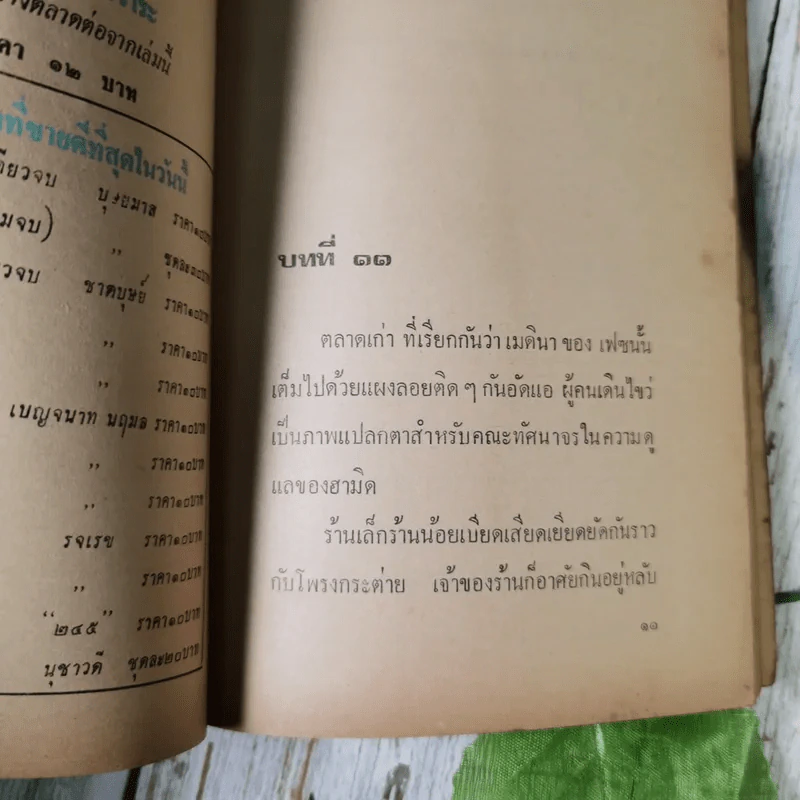 รักลวงใจ 2 เล่มจบ - วลัย นวาระ รูปที่ 13