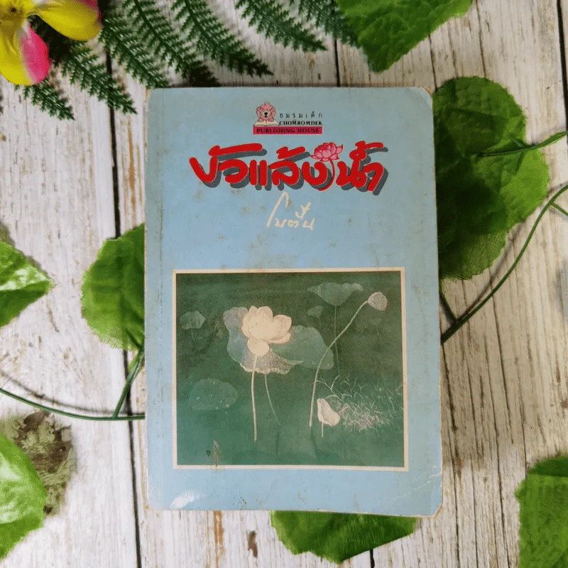 บัวแล้งน้ำ - โบตั๋น รูปที่ 1