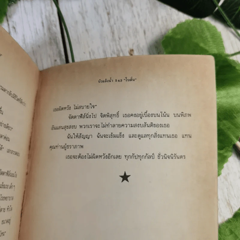 บัวแล้งน้ำ - โบตั๋น รูปที่ 11