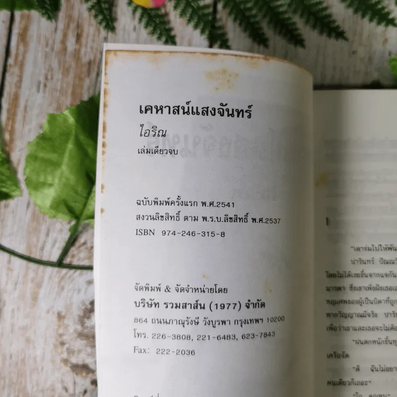 เคหาสน์แสงจันทร์ -  ไอริณ รูปที่ 8