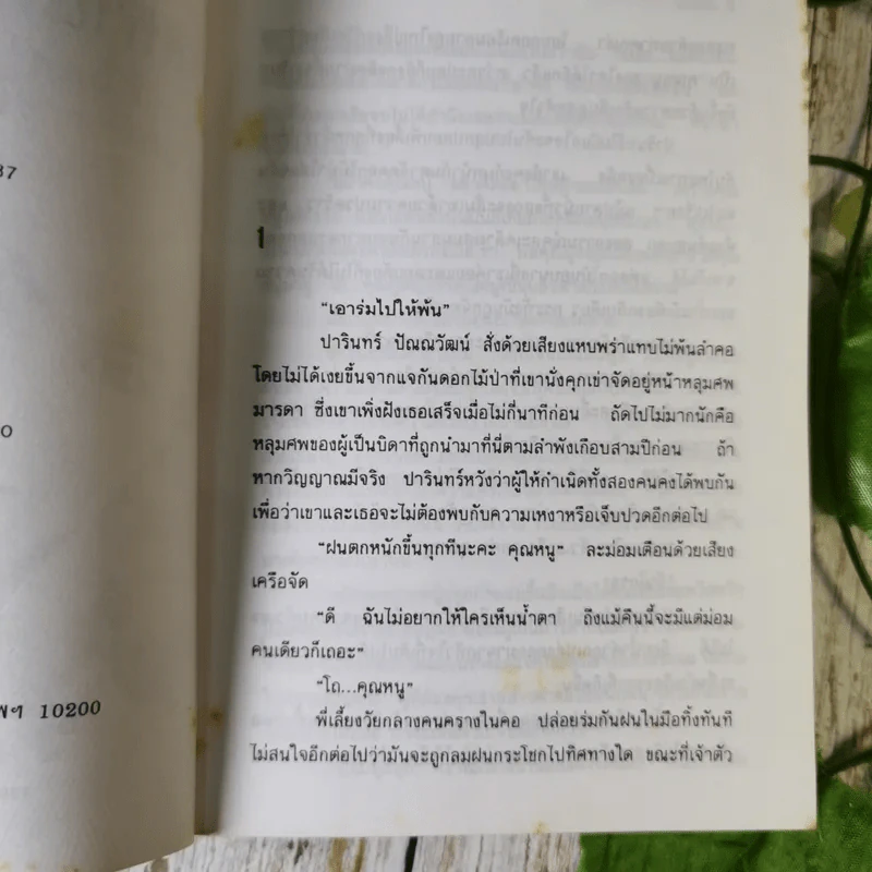 เคหาสน์แสงจันทร์ -  ไอริณ รูปที่ 9