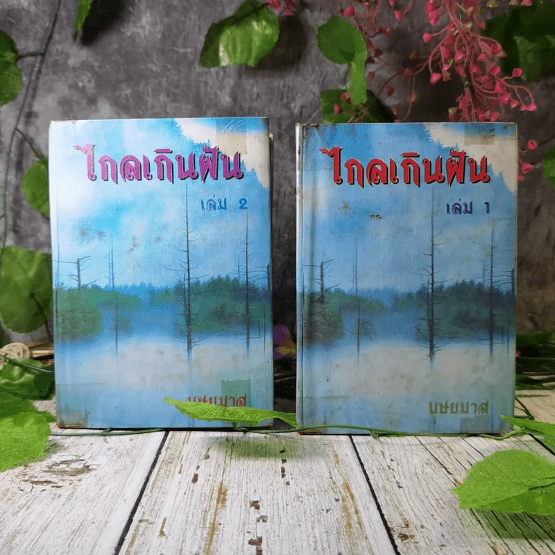 ไกลเกินฝัน 2 เล่มจบ - บุษยมาส รูปที่ 1