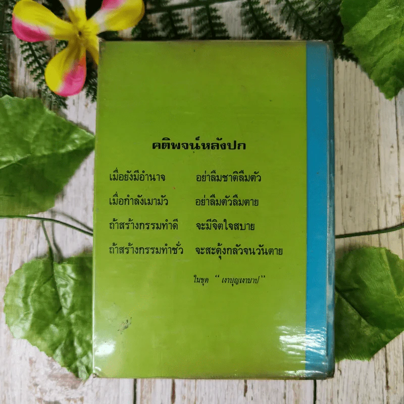 เรื่อง เงาบุญ-เงาบาป (นิทานชีวิต) และจิตตานุภาพ และวิญญาณ - ท.เลียงพิบูลย์ รูปที่ 2