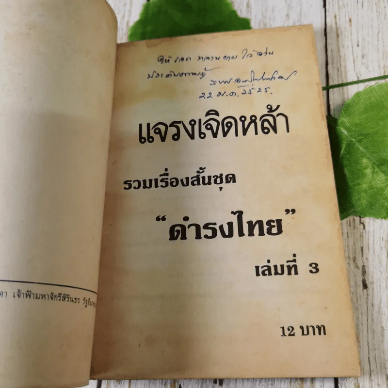 แจรงเจิดหล้า - วรรณกรรมสำหรับเยาวชน รูปที่ 7