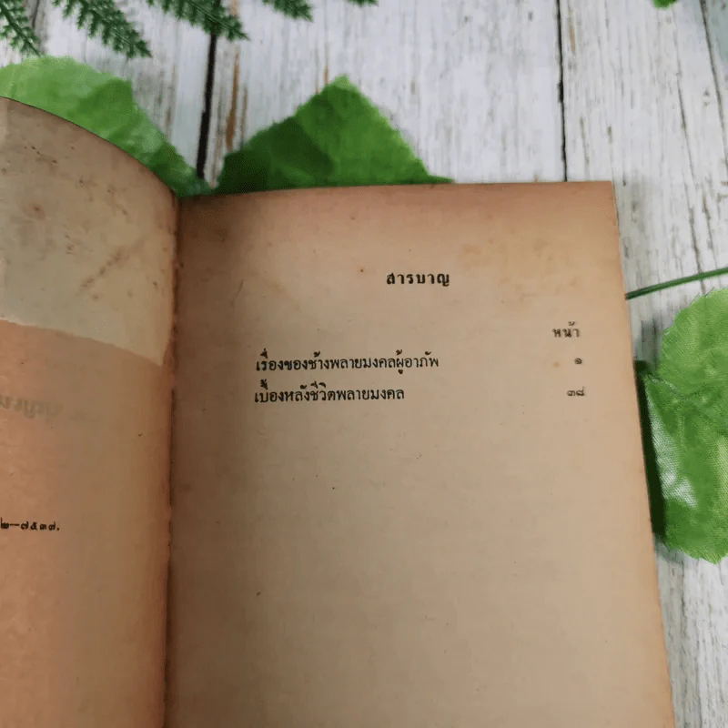 เรื่องของช้างพลายมงคลผู้อาภัพ - ม.ล.บุญเหลือ เทพยสุวรรณ รูปที่ 8