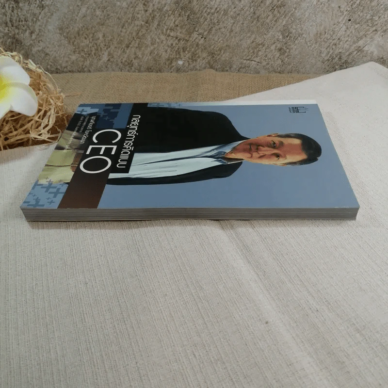 กลยุทธ์การคิดแบบ CEO - บุญเกียรติ โชควัฒนา รูปที่ 3