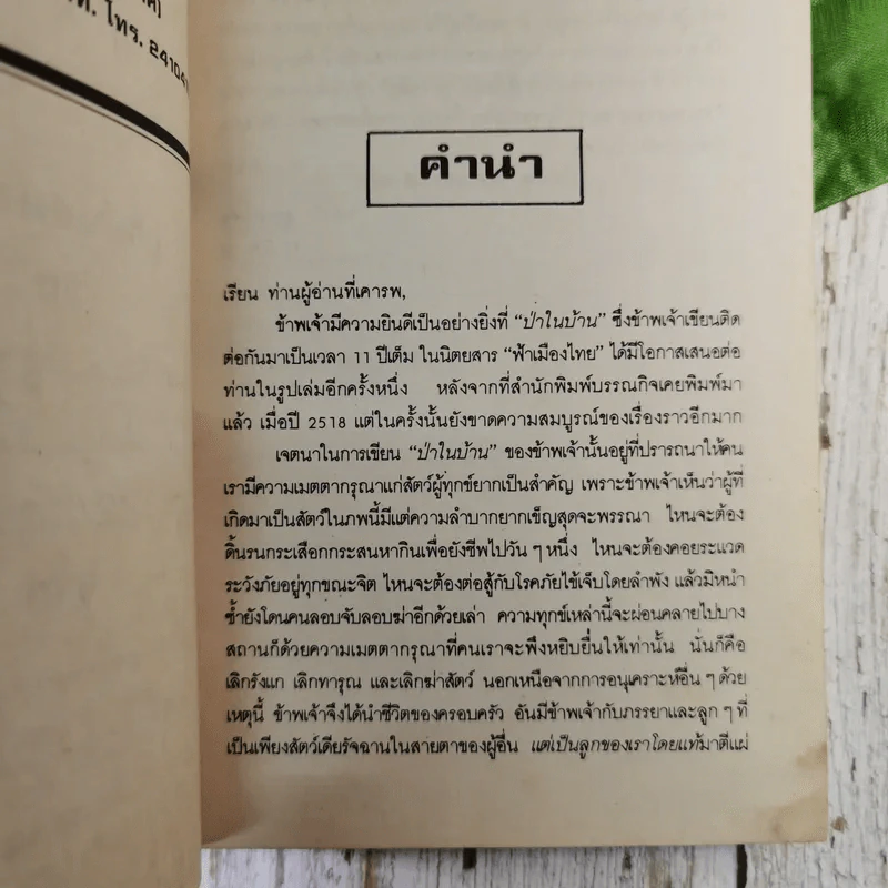 ป่าในบ้าน - ทองทิว สุวรรณทัต รูปที่ 8