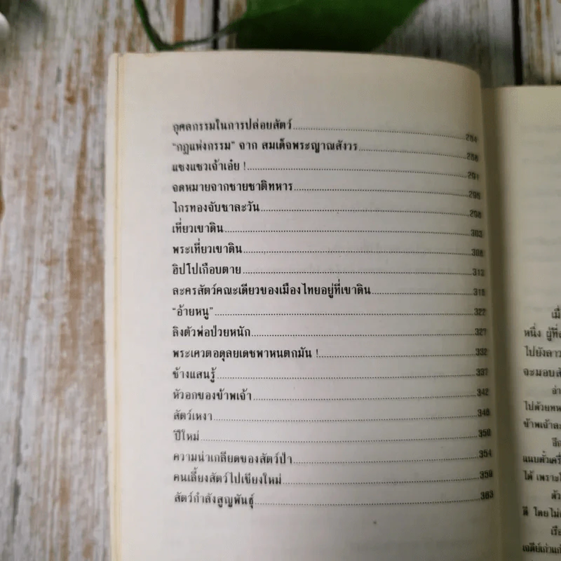 ป่าในบ้าน - ทองทิว สุวรรณทัต รูปที่ 13