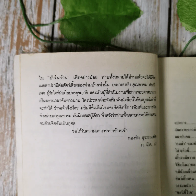 ป่าในบ้าน - ทองทิว สุวรรณทัต รูปที่ 9