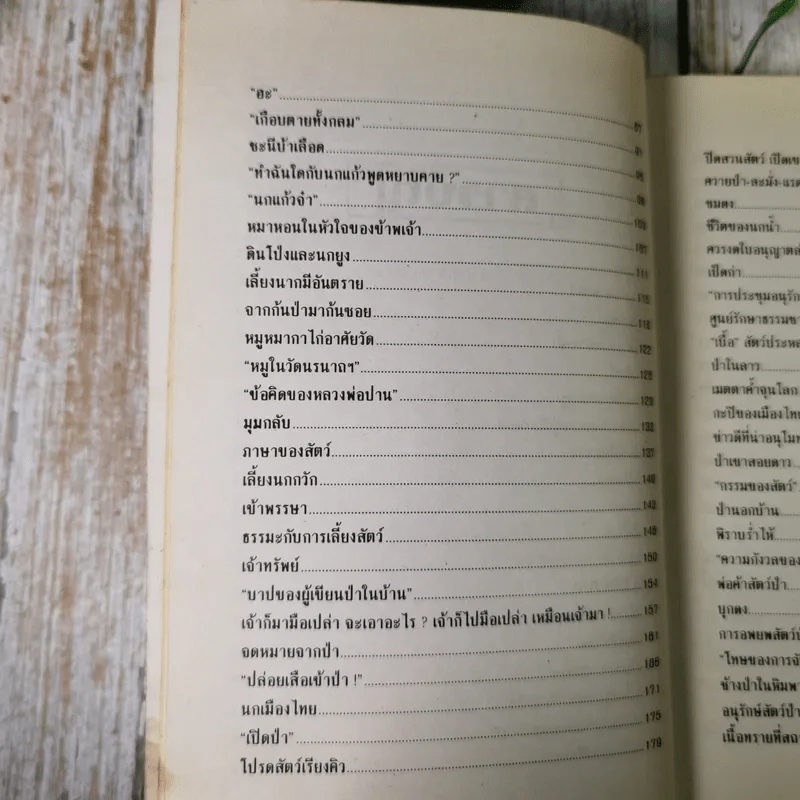 ป่าในบ้าน - ทองทิว สุวรรณทัต รูปที่ 11