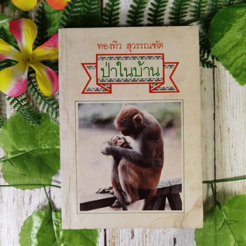 ป่าในบ้าน - ทองทิว สุวรรณทัต รูปที่ 1