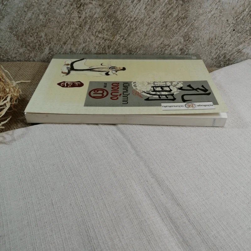 เปิดหน้ากากขงเบ้ง ภาค 3 หนังสือชุดสามก๊ก ฉบับคนเดินดิน - เล่าชวนหัว รูปที่ 3