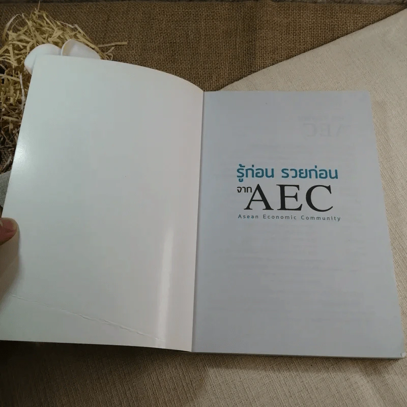 รู้ก่อนรวยก่อน จาก AEC - พงษ์ ผาวิจิตร รูปที่ 4