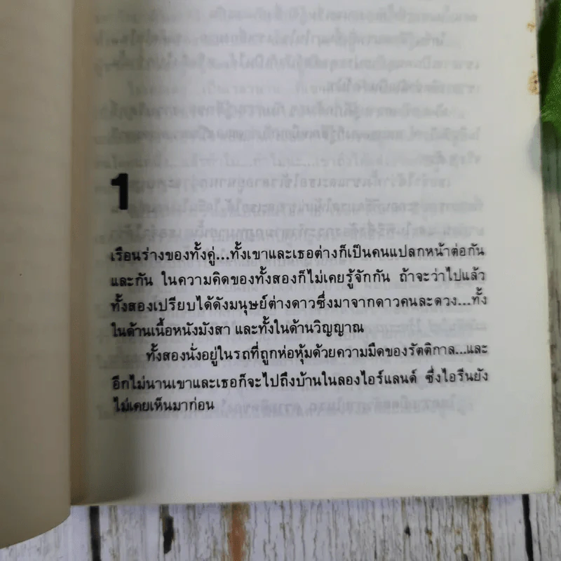 เขา ถอดความโดย อลงกรณ์ (นวนิยายอีโรติก) รูปที่ 11