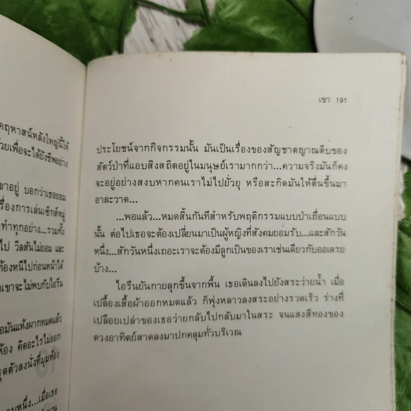 เขา ถอดความโดย อลงกรณ์ (นวนิยายอีโรติก) รูปที่ 12