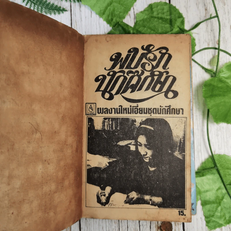 นิยายรักนักศึกษา 6 เล่ม รูปที่ 12