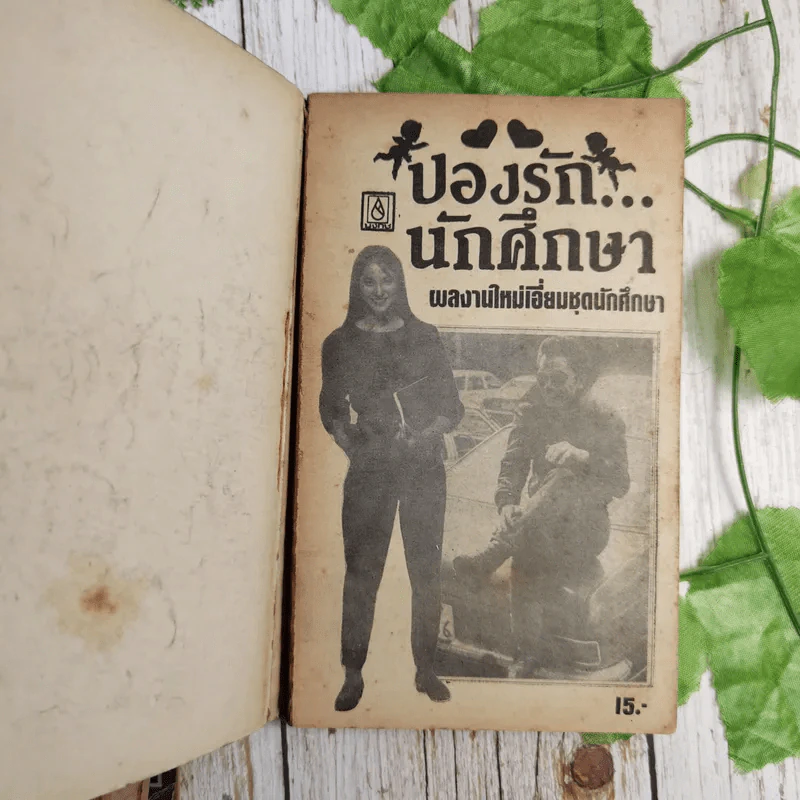 นิยายรักนักศึกษา 6 เล่ม รูปที่ 13