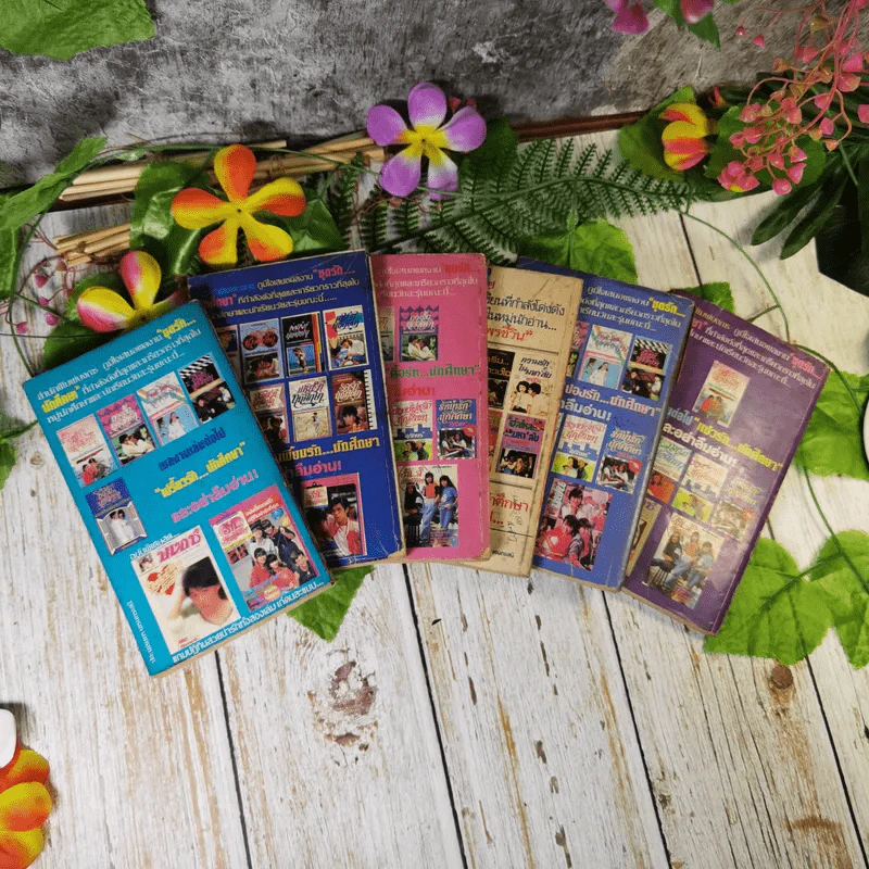 นิยายรักนักศึกษา 6 เล่ม รูปที่ 6