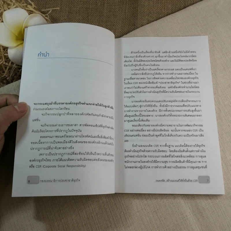 ถอดรหัสสร้างแบรนด์ให้ยั่งยืนด้วย CSR - วรัญญา ศรีเสวก รูปที่ 5