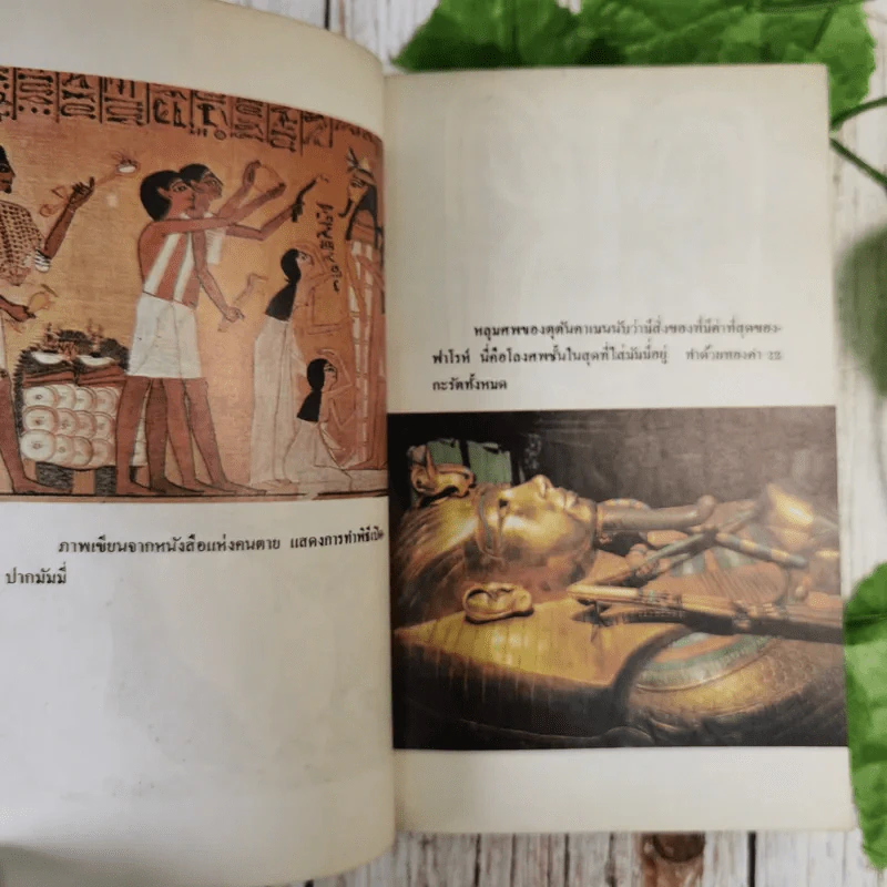 อาถรรพณ์อียิปต์ รวมเรื่องลี้ลับและไสยศาสตร์ของชาวอียิปต์โบราณ - สำเริง สัมพันธารักษ์ รูปที่ 17