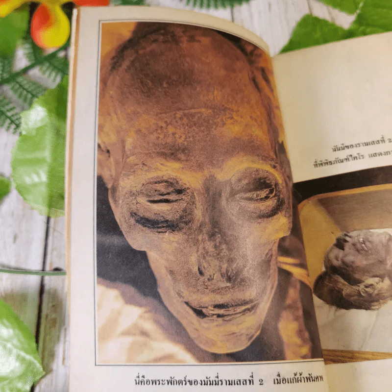 อาถรรพณ์อียิปต์ รวมเรื่องลี้ลับและไสยศาสตร์ของชาวอียิปต์โบราณ - สำเริง สัมพันธารักษ์ รูปที่ 14