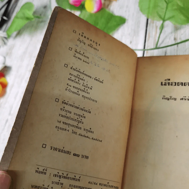 เลือดตะลุง - ภิญโญ ศรีจำลอง รูปที่ 8