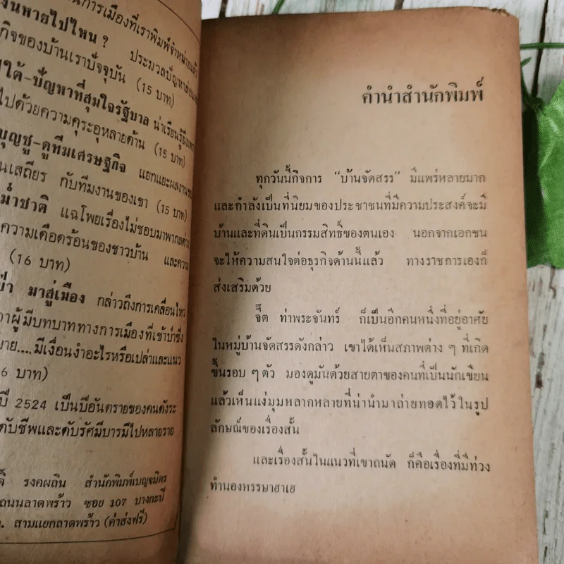 บ้านจัดสรร วิมานผ่อนส่ง - จี๊ต ท่าพระจันทร์ รูปที่ 10