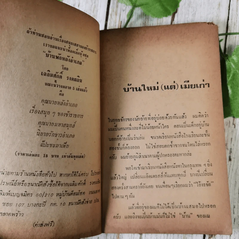 บ้านจัดสรร วิมานผ่อนส่ง - จี๊ต ท่าพระจันทร์ รูปที่ 11